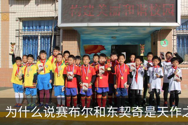 为什么说赛布尔和东契奇是天作之合？（签约评级：A）