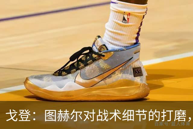 戈登：图赫尔对战术细节的打磨，堪称世界顶尖