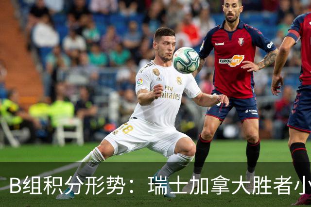B组积分形势：瑞士加拿大胜者小组第一 平局保携手出线